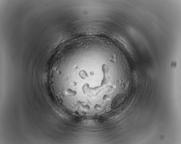 X0000097990499200804071155