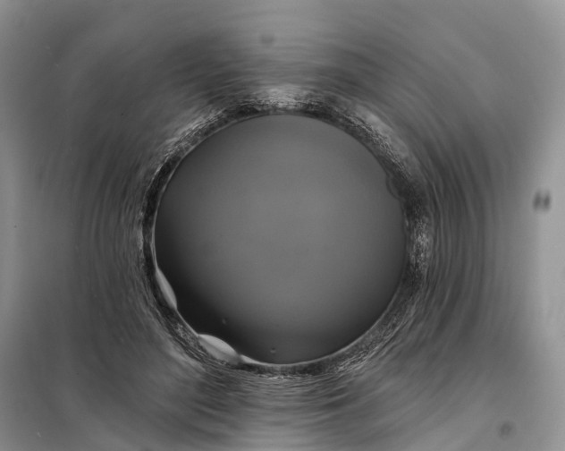 X0000097990500200804071155