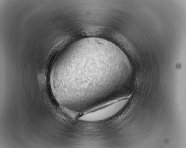 X0000097990501200804071155