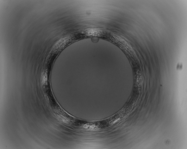 X0000097990502200804071155