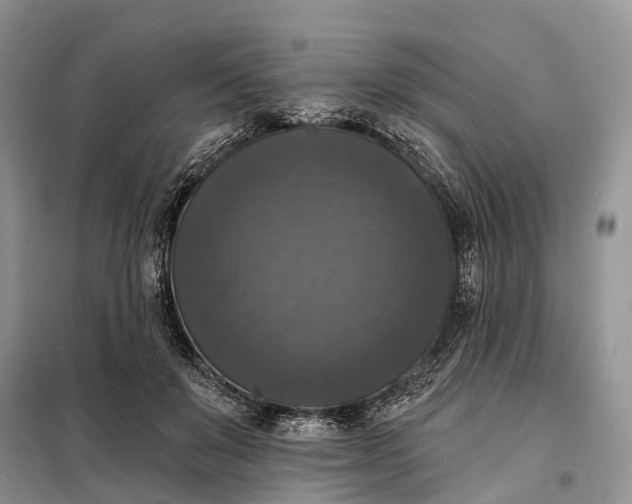 X0000097990503200804071155