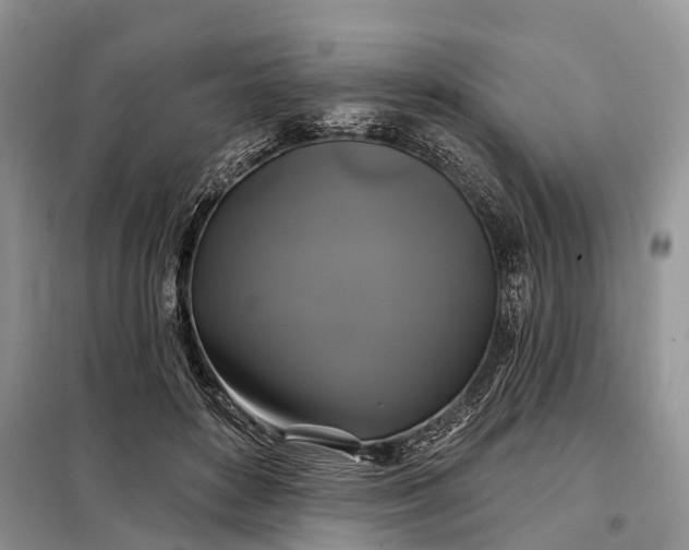X0000097990504200804071155