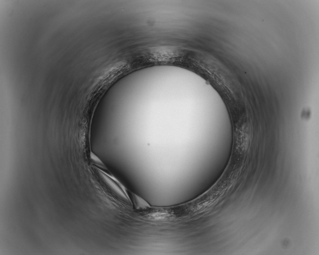 X0000097990505200804071155