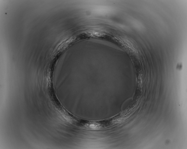 X0000097990506200804071155
