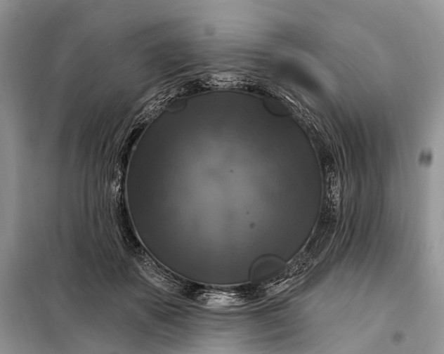 X0000097990507200804071155