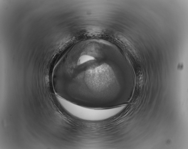 X0000097990508200804071155