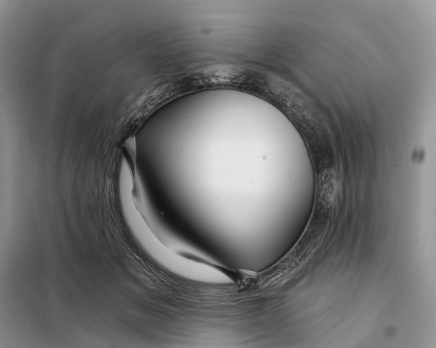 X0000097990509200804071155