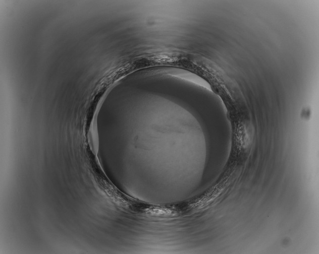 X0000097990512200804071155