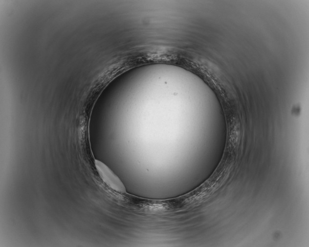 X0000097990513200804071155