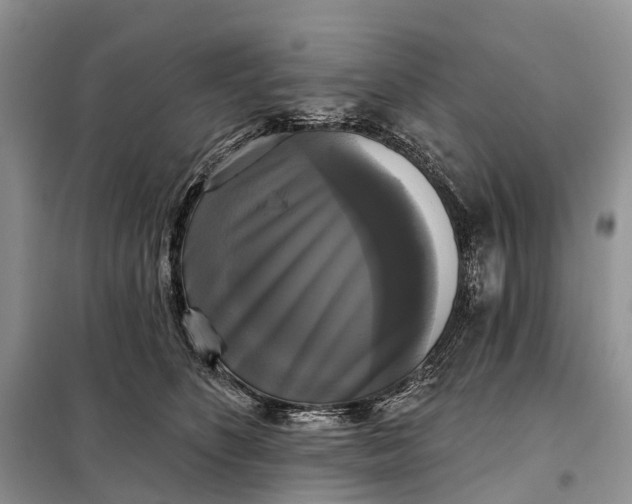 X0000097990516200804071155