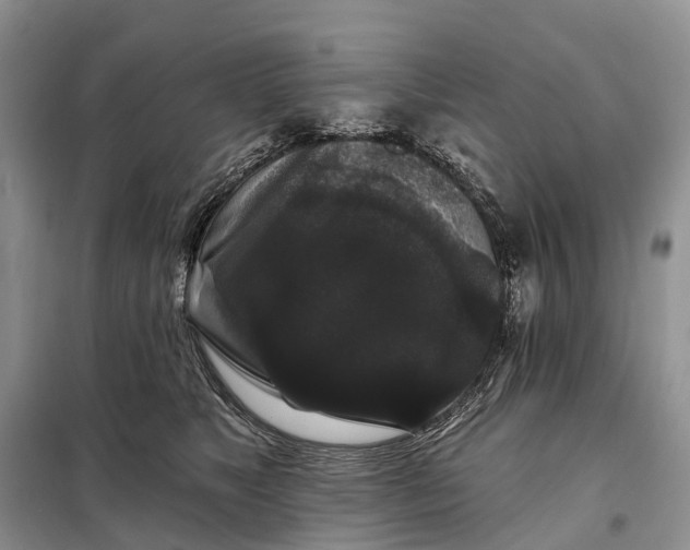 X0000097990517200804071155