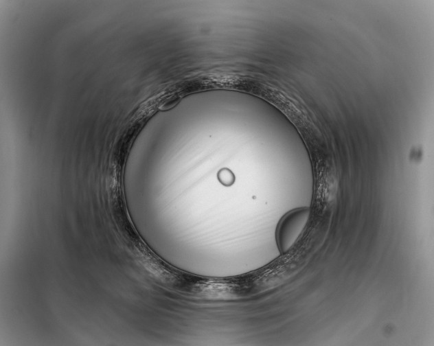 X0000097990518200804071155