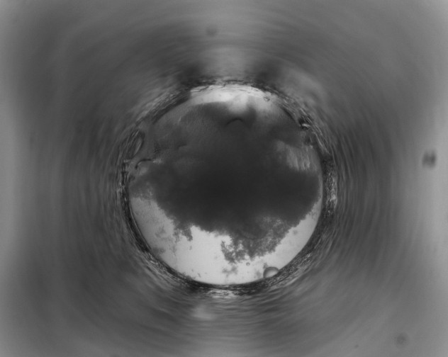 X0000097990519200804071155