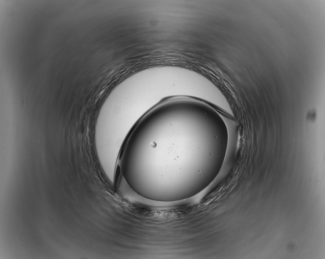 X0000097990520200804071155
