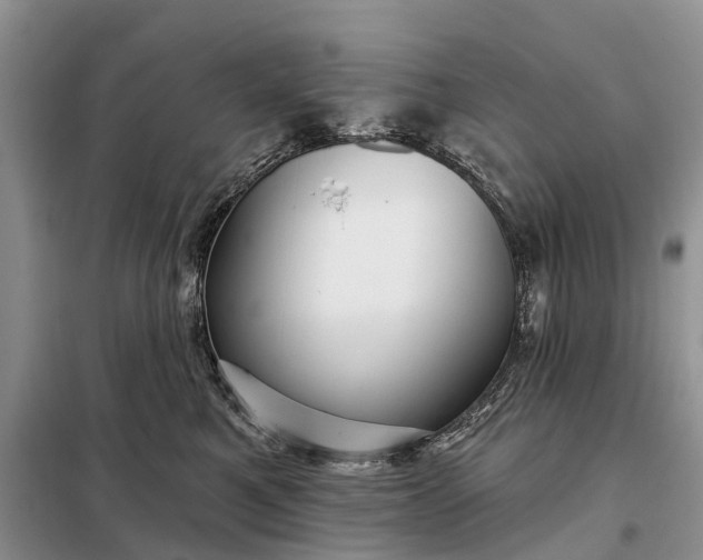 X0000097990521200804071155