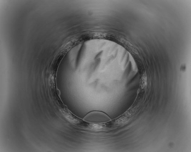 X0000097990522200804071155
