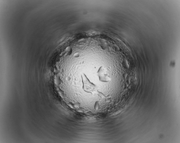 X0000097990523200804071155