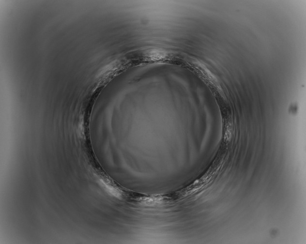 X0000097990524200804071155