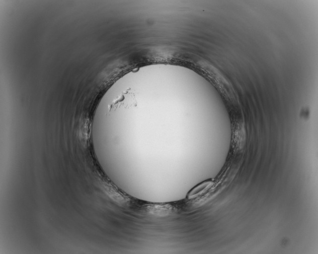 X0000097990525200804071155