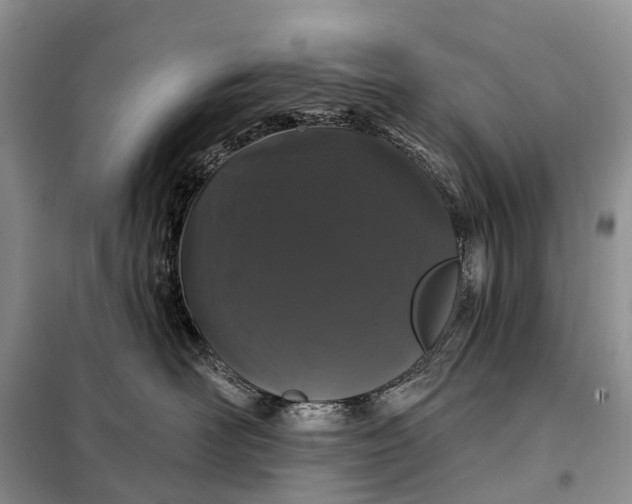 X0000097990526200804071155