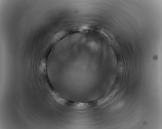 X0000097990527200804071155