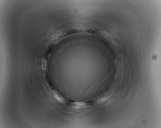 X0000097990528200804071155