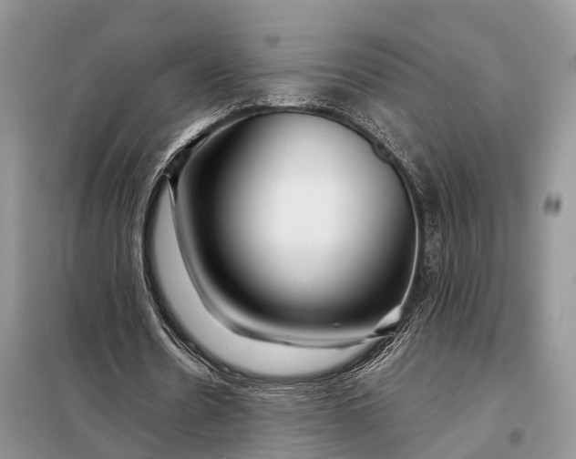 X0000097990530200804071154