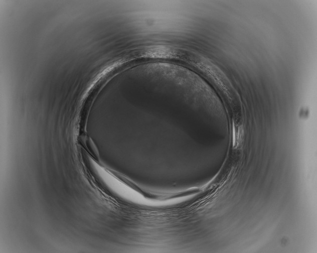 X0000097990531200804071154