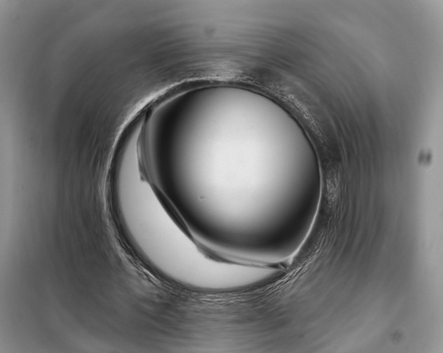 X0000097990532200804071154