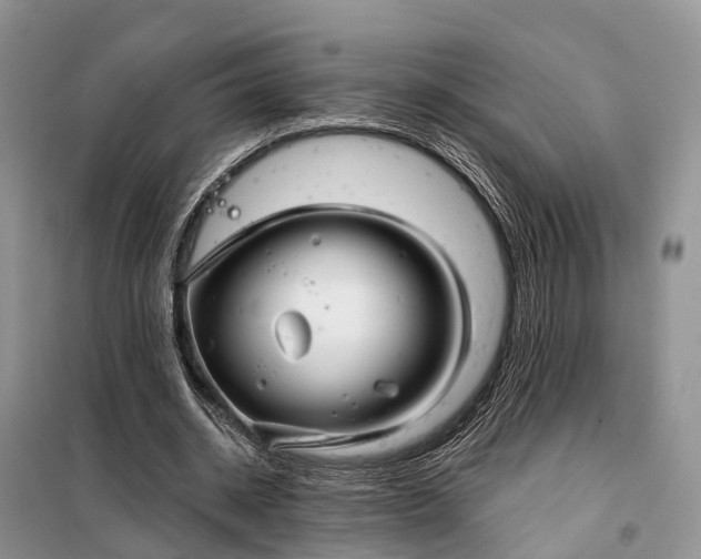 X0000097990534200804071154