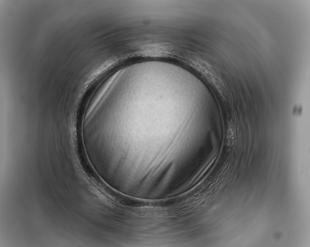 X0000097990535200804071154