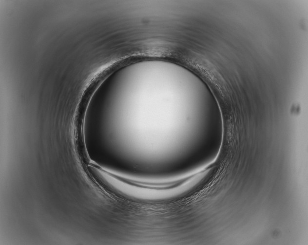 X0000097990536200804071154