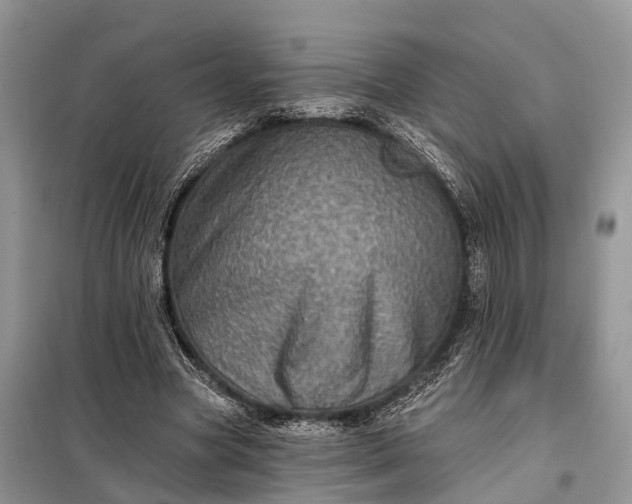 X0000097990537200804071154