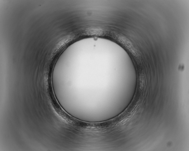 X0000097990538200804071154