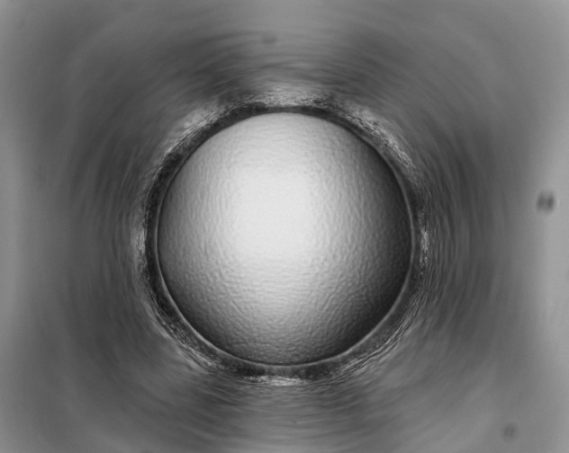 X0000097990539200804071154