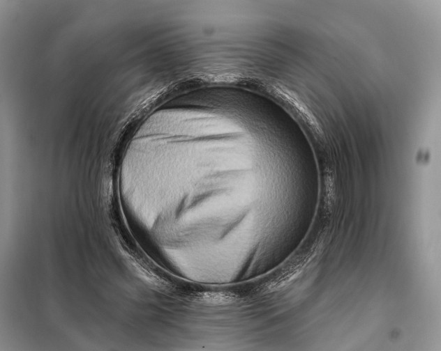 X0000097990541200804071154