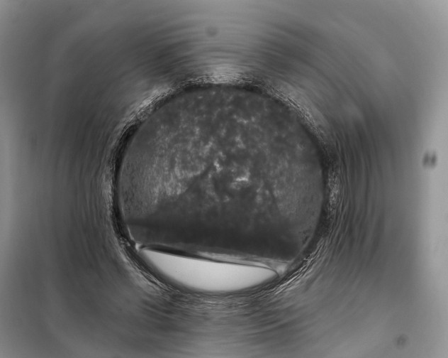 X0000097990542200804071154
