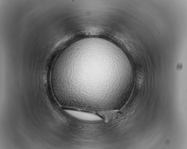 X0000097990543200804071154