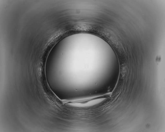 X0000097990544200804071154