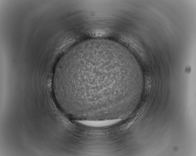 X0000097990545200804071154