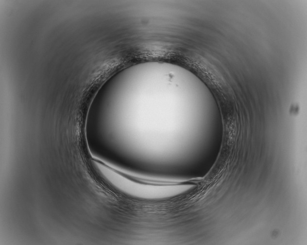 X0000097990546200804071154