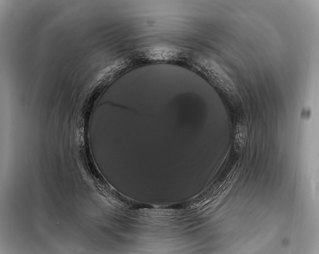 X0000097990547200804071154