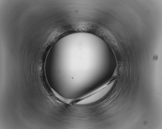 X0000097990548200804071154