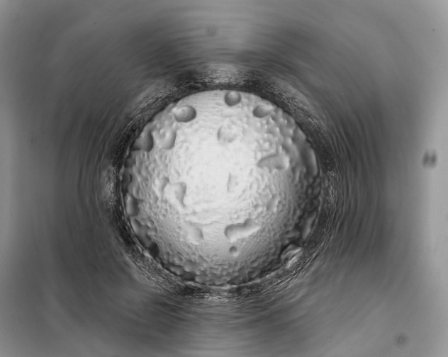 X0000097990550200804071154