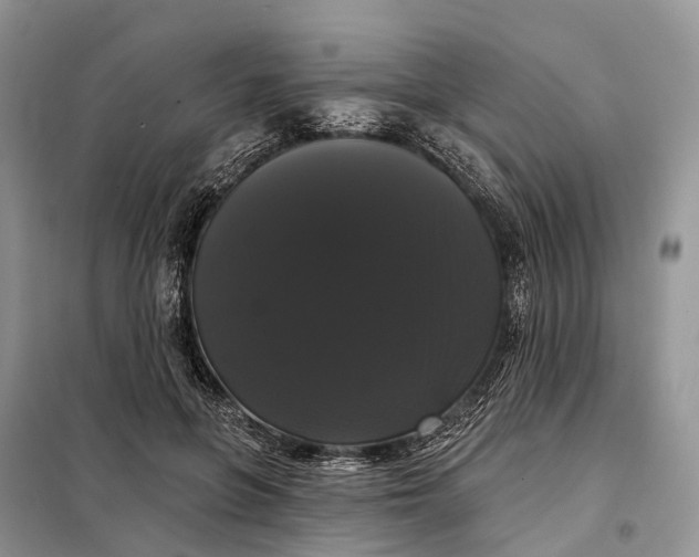 X0000097990551200804071154