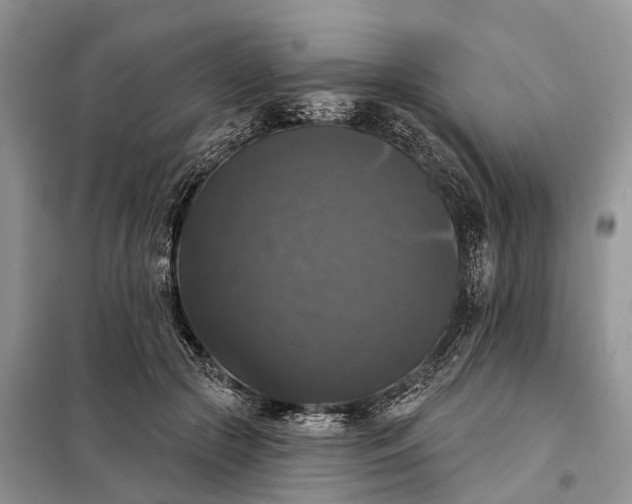 X0000097990553200804071154