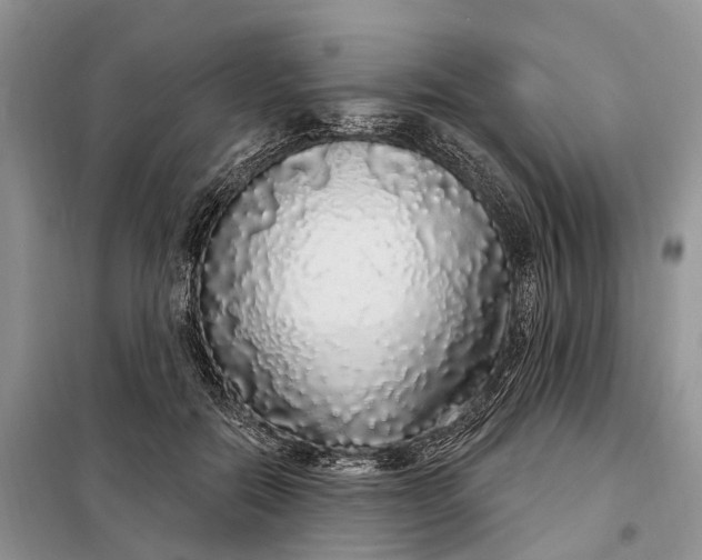 X0000097990554200804071154
