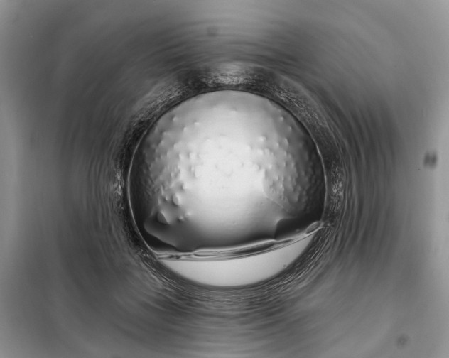 X0000097990555200804071154