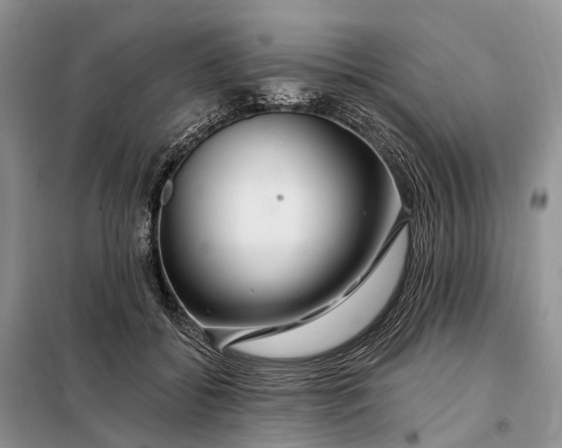 X0000097990556200804071154