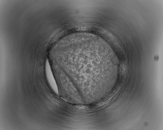 X0000097990557200804071154